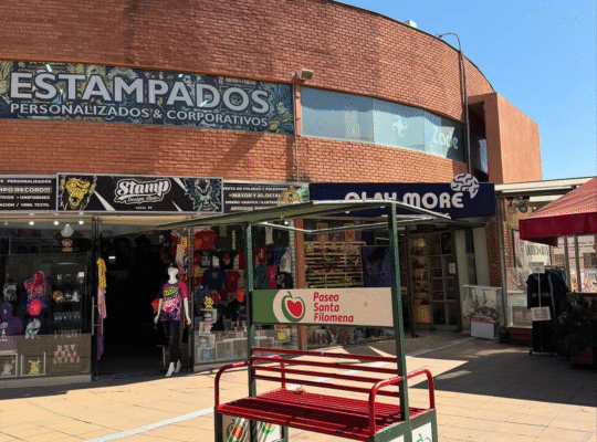 Paseo Santa Filomena: El Mall de Patronato